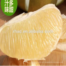 Comprar pomelo de estándar de exportación chino fresco pomelo